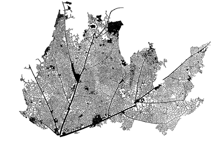 Ahorn 1 – 454